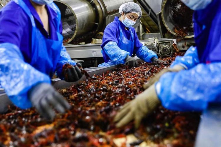 预制菜产业链的发展,让小龙虾从季节性的生鲜农产品,发展成为全年的"