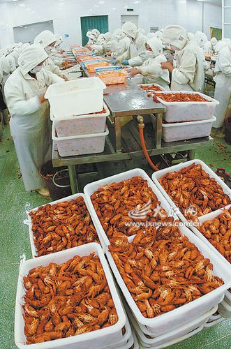 9月5日,来自我省渔业主管部门的调查表明,赣产小龙虾产品质量安全可靠